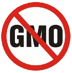 Одбор за пољопривреду ДСС: Влада хоће да на мала врата уведе ГМО у Србију