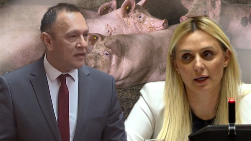 Sandić: Ministarki poljoprivrede za sve krivi građani