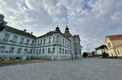 Novi DSS Zrenjanin: Podrška Ivani Atanacković